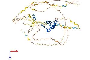 HOXA3 Protein (AA 1-443) (His tag)