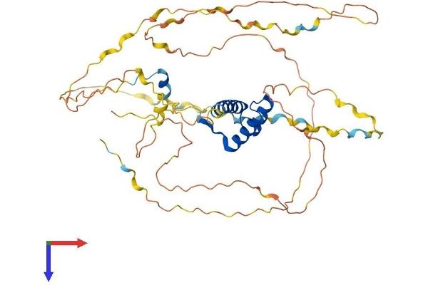 HOXA3 Protein (AA 1-443) (His tag)