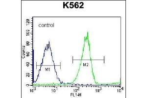 RPS4Y1 Antibody (Center) (ABIN656730 and ABIN2845954) flow cytometric analysis of K562 cells (right histogram) compared to a negative control cell (left histogram). (RPS4Y1 Antikörper  (AA 76-105))