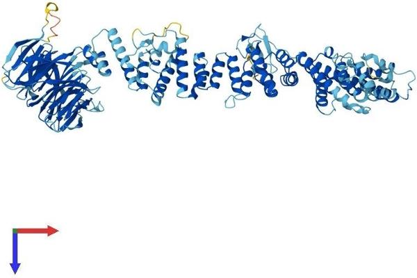 VPS39 Protein (AA 1-886) (His tag)