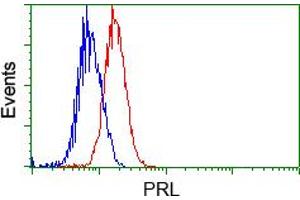 Flow cytometric analysis of Jurkat cells, using anti-PRL antibody (ABIN2453519), (Red) compared to a nonspecific negative control antibody (TA50011) (Blue). (Prolactin Antikörper)