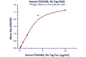 Measured by its binding ability in a functional ELISA.