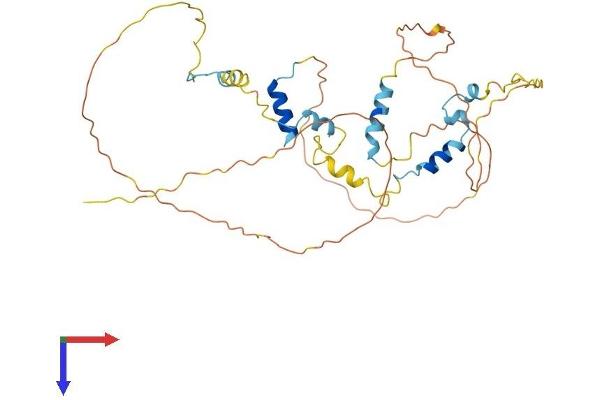 AVEN Protein (AA 1-362) (His tag)
