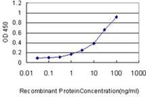 Detection limit for recombinant GST tagged DC-UbP is approximately 0. (UBTD2 Antikörper  (AA 1-190))