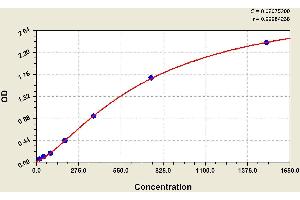ELISA image for Procollagen III N-Terminal Propeptide (PIIINP) ELISA Kit (ABIN1118233) (PIIINP ELISA Kit)