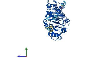 Protein Structure (PS) image for Guanine Nucleotide Binding Protein (G Protein), alpha 14 (GNa14) (AA 1-355) protein (His tag) (ABIN7547997)