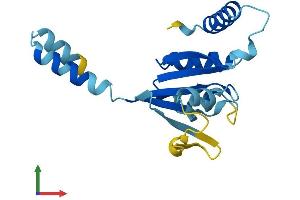 Protein Structure (PS) image for Immunity-Related GTPase Family, M (IRGM) (AA 1-181) protein (His tag) (ABIN7548647)
