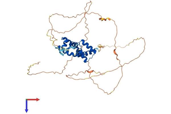 POU2F3 Protein (AA 1-436) (His tag)