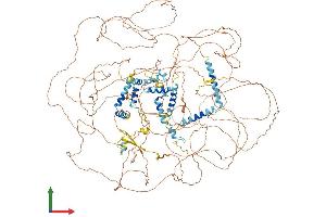 AlphaFold protein structure predicition of Mouse Recombinant Npat Protein, UniprotID Q8BMA5 (NPAT Protein (AA 1-1420) (His tag))