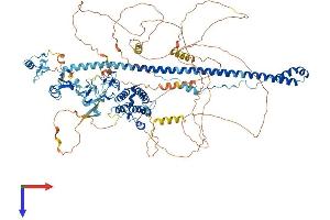 TRIM24 Protein (AA 1-1050) (His tag)