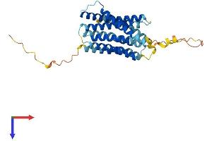 SLC39A1 Protein (AA 1-324) (His tag)