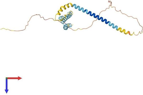REEP2 Protein (AA 1-252) (His tag)