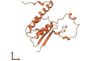 AlphaFold protein structure predicition of Human Recombinant ADARB2-AS1 Protein, UniprotID A8MUL3