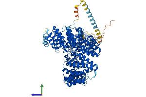 AlphaFold protein structure predicition of Human Recombinant NAA15 Protein, UniprotID Q9BXJ9