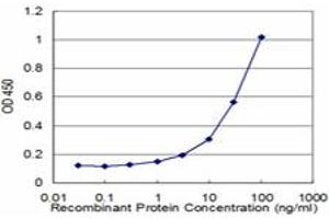 Detection limit for recombinant GST tagged KLK10 is approximately 1ng/ml as a capture antibody. (Kallikrein 10 Antikörper  (AA 167-276))