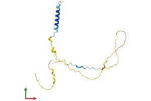 Protein Structure (PS) image for Dysbindin (Dystrobrevin Binding Protein 1) Domain Containing 2 (DBNDD2) (AA 1-158) protein (His tag) (ABIN7560637)