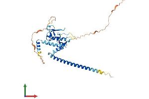 Protein Structure (PS) image for PHD Finger Protein 11 (PHF11) (AA 1-331) protein (His tag) (ABIN7550697)