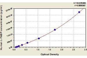 Typical Standard Curve (FABP1 ELISA Kit)