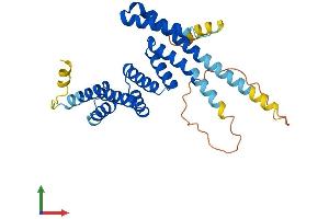 AlphaFold protein structure predicition of Human Recombinant ZHX1-C8orf76 Protein, UniprotID Q96EF9