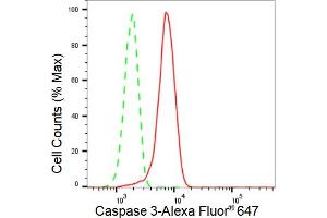 Flow cytometric analysis of Caspase 3 expression in HT- cells using Caspase 3 antibody (ABIN7797893), 1:2,000). (Rekombinanter Caspase 3 Antikörper)