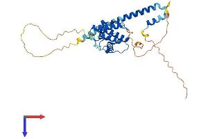 MAPRE2 Protein (AA 1-326) (His tag)