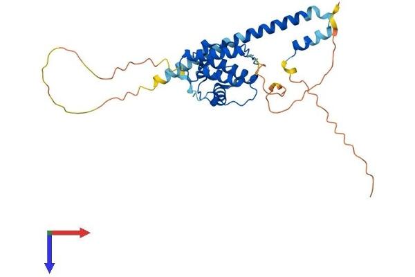 MAPRE2 Protein (AA 1-326) (His tag)