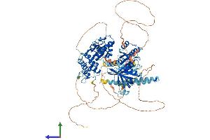 Protein Structure (PS) image for ArfGAP with GTPase Domain, Ankyrin Repeat and PH Domain 1 (AGAP1) (AA 1-857) protein (His tag) (ABIN7551959)