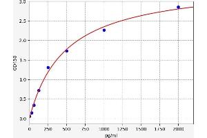 Leukemia Inhibitory Factor (LIF) ELISA Kit