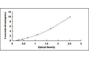 Typical standard curve (MATN2 ELISA Kit)