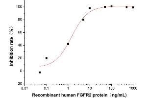 Fibroblast Growth Factor Receptor 2 (FGFR2) (AA 22-377) (Active) protein (His-Fc tag)