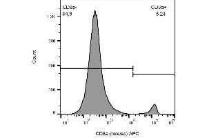 Surface staining of murine splenocytes with anti-CD8a (53-6. (CD8 alpha Antikörper  (APC))