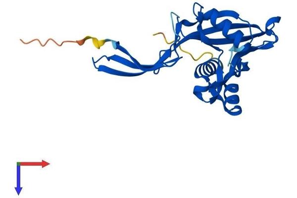 NUDT5 Protein (AA 1-218) (His tag)