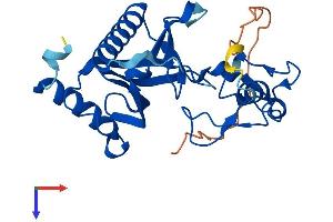 PLEKHF2 Protein (AA 1-249) (His tag)