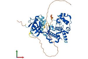 Protein Structure (PS) image for Mitogen-Activated Protein Kinase 9 (MAPK9) (AA 1-423) protein (His tag) (ABIN7565208)