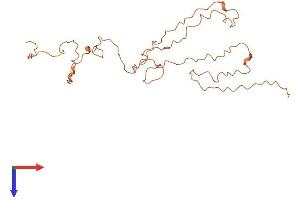 Keratin Associated Protein 10-2 (KRTAP10-2) (AA 1-255) protein (His tag)
