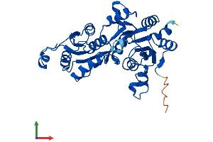AlphaFold protein structure predicition of Mouse Recombinant Pgp Protein, UniprotID Q8CHP8 (PGP Protein (AA 1-321) (His tag))