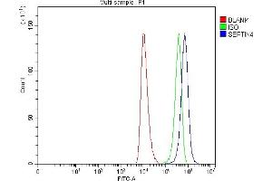 Flow Cytometry analysis of HEL cells using anti-SEPT4/SEPTIN4 antibody (ABIN7600345). (Septin 4 Antikörper  (AA 18-451))
