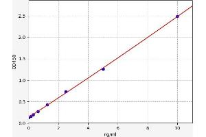 MAPKAP Kinase 2 ELISA Kit