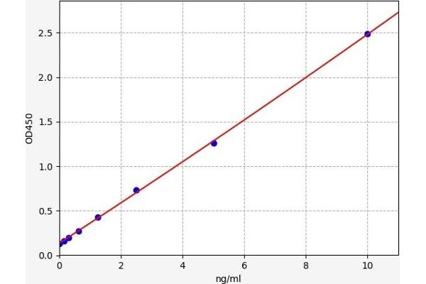 MAPKAP Kinase 2 ELISA Kit