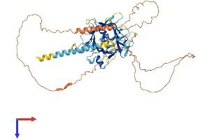 TULP2 Protein (AA 1-520) (His tag)