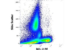 Flow cytometry intracellular staining pattern of human peripheral whole blood from diffuse large B-cell lymphoma (DLBCL) patient. (Bcl-2 Antikörper  (AA 41-54) (PE))