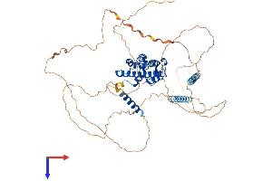 PROX2 Protein (AA 1-592) (His tag)