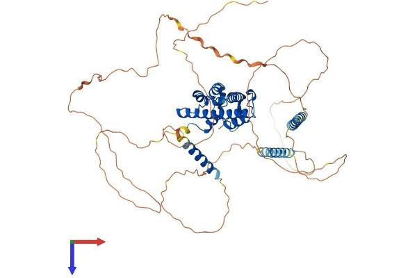 PROX2 Protein (AA 1-592) (His tag)