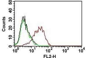 Flow cytometric analysis of MCF-7 cell with EPCAM monoclonal antibody, clone EGP40/837 (PE)  (red). (EpCAM Antikörper  (PE))