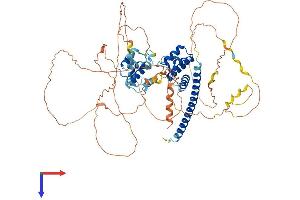REPS2 Protein (AA 1-660) (His tag)