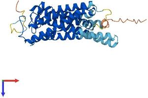 OPN1SW Protein (AA 1-346) (His tag)