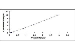 Typical standard curve (MMP28 ELISA Kit)