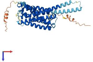 GPR45 Protein (AA 1-373) (His tag)