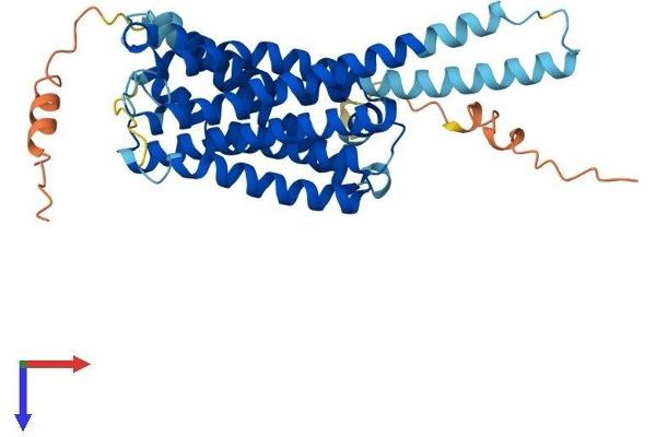 GPR45 Protein (AA 1-373) (His tag)