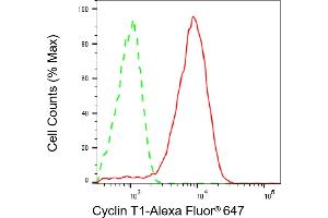 Flow cytometric analysis of Cyclin T1 expression in HeLa cells using Cyclin T1 antibody (ABIN7798203), 1:2,000).